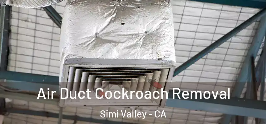 Air Duct Cockroach Removal Simi Valley - CA