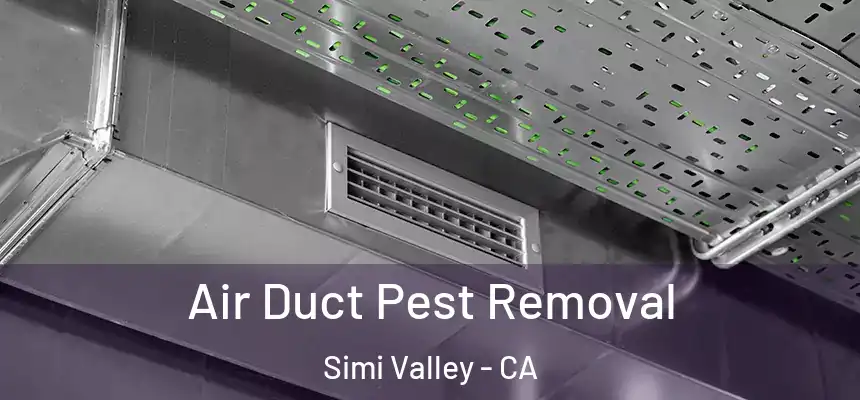 Air Duct Pest Removal Simi Valley - CA