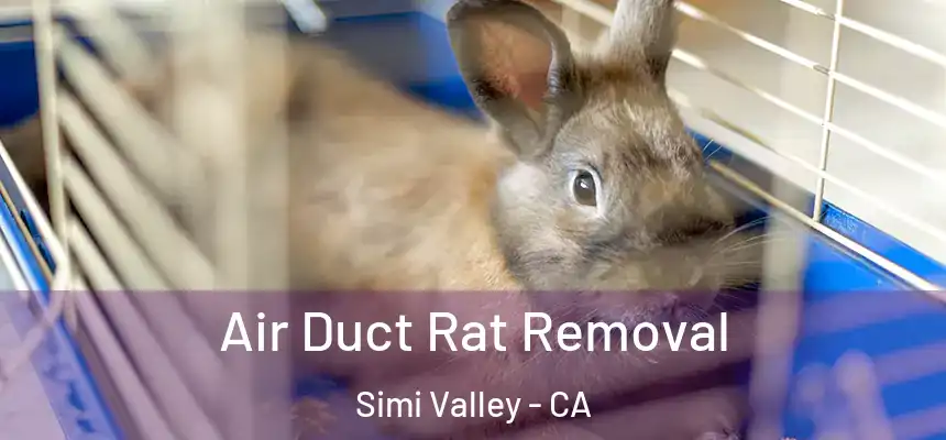 Air Duct Rat Removal Simi Valley - CA