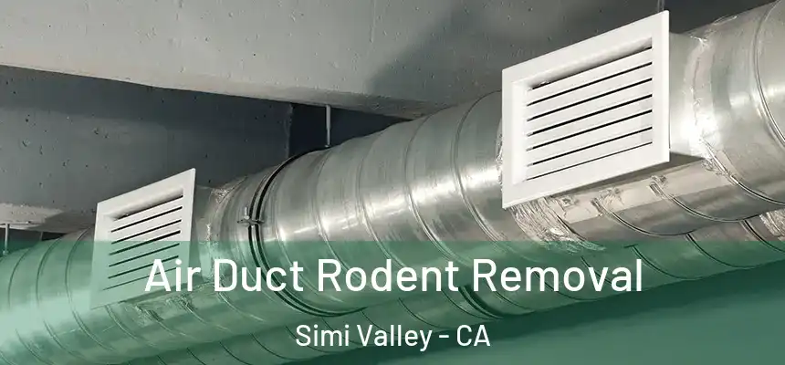 Air Duct Rodent Removal Simi Valley - CA