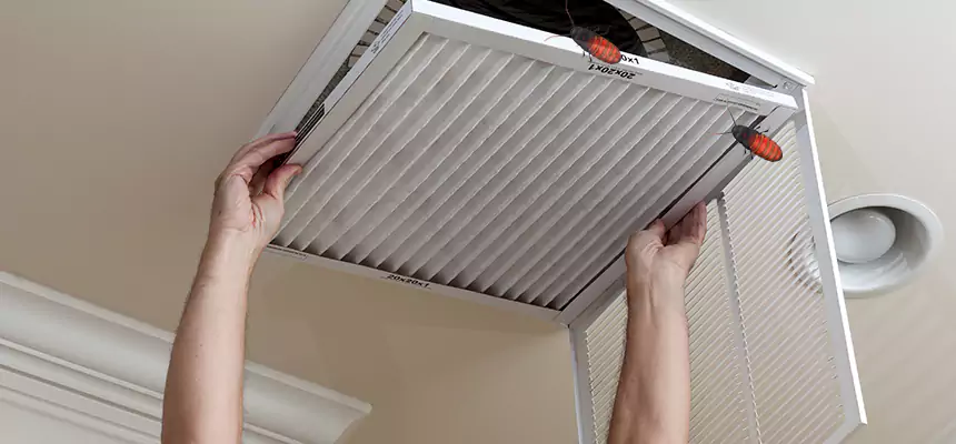 Preventive Cockroach-Proofing for Ducts in Simi Valley
