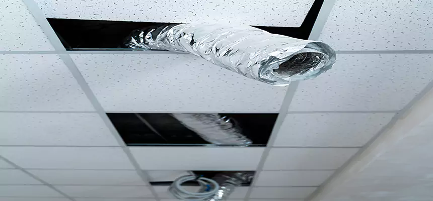 Our Air Duct Pet Hair Removal Services in Simi Valley, CA