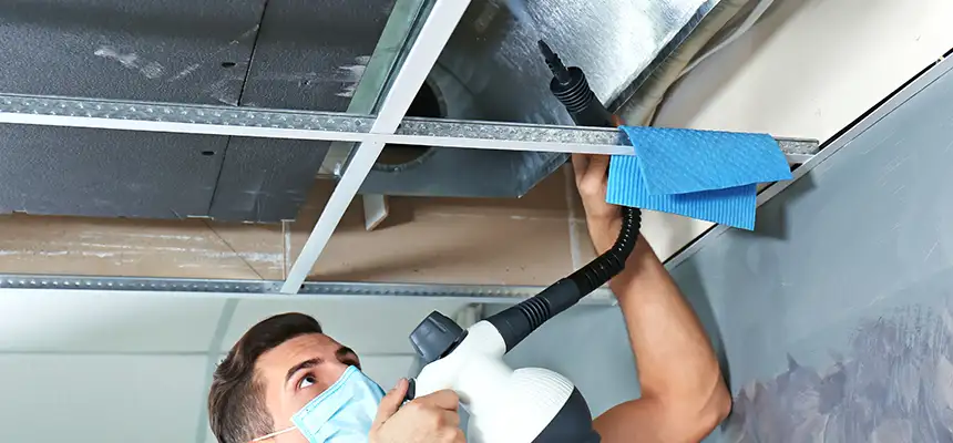 Our Air Duct Rodent Removal Services in Simi Valley, CA