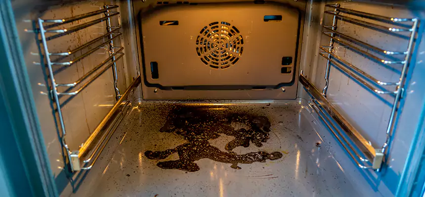 Our Dryer Vent Mold Cleaning Services in Simi Valley, CA