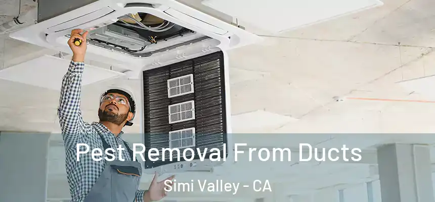  Pest Removal From Ducts Simi Valley - CA