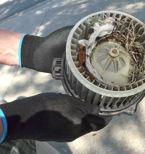 About Air Duct Mice Removal in Simi Valley, CA