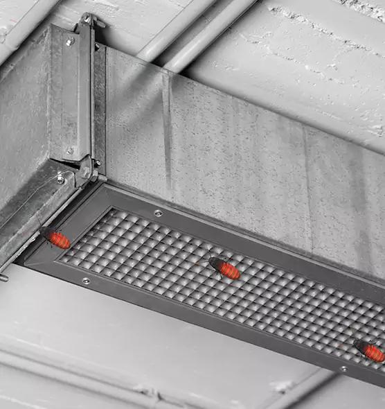 Affordable Insect Removal from Air Ducts in Simi Valley, CA