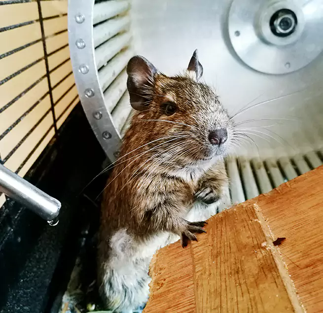 Why Homeowners & Businesses Trust Us Simi Valley, CA