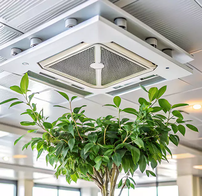 Why Homeowners & Businesses Trust Us in Simi Valley, CA?